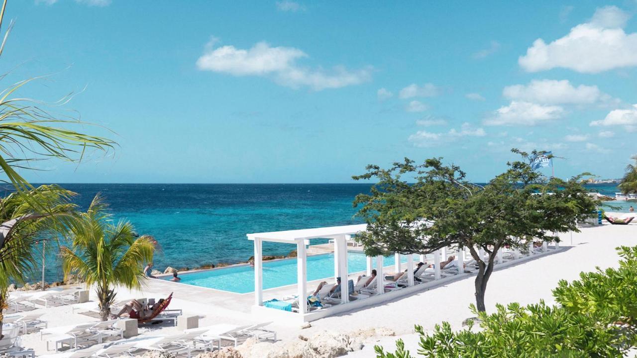 ᐉ PAPAGAYO BEACH HOTEL (ADULTS ONLY) ⋆⋆⋆⋆ ( JAN THIEL, CURACAO ) REAL  PHOTOS & GREAT DEALS